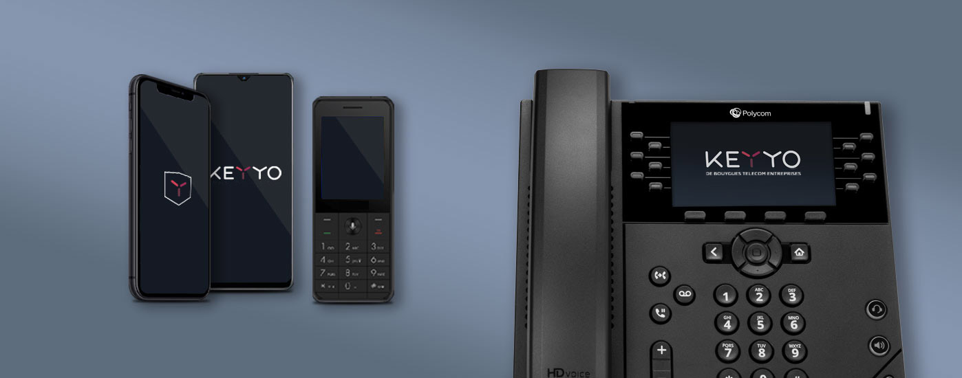 Adaptateur VoIP : service d'adaptateur pour téléphonie ip - Axialys